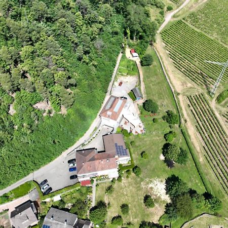 Hotel Berghof Albersweiler Buitenkant foto